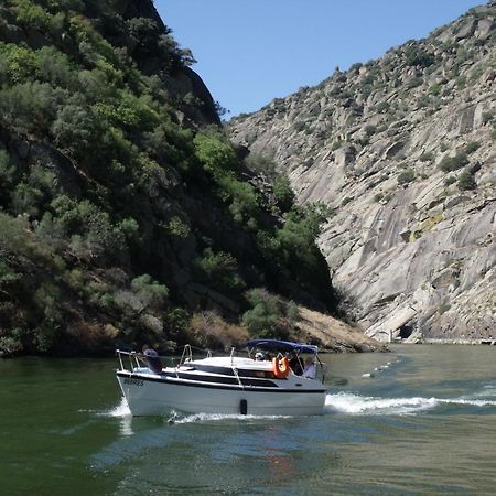 Douro Yacht Charter & Bungalows เซาโจเอา ดา เปชเกรา ภายนอก รูปภาพ