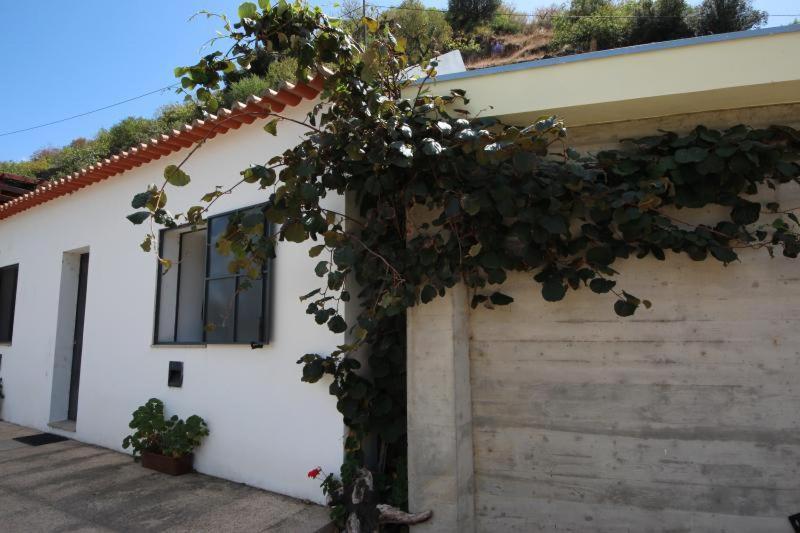 Douro Yacht Charter & Bungalows เซาโจเอา ดา เปชเกรา ภายนอก รูปภาพ