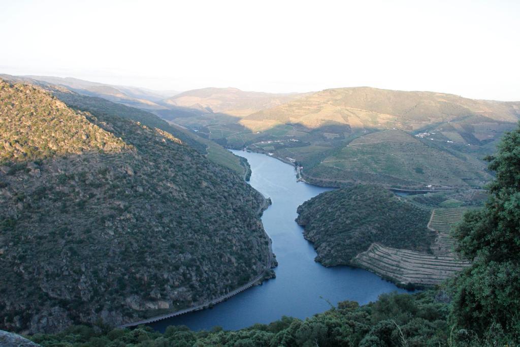 Douro Yacht Charter & Bungalows เซาโจเอา ดา เปชเกรา ภายนอก รูปภาพ