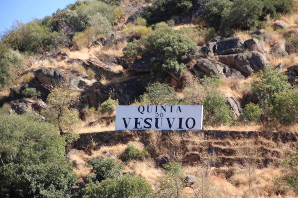 Douro Yacht Charter & Bungalows เซาโจเอา ดา เปชเกรา ภายนอก รูปภาพ