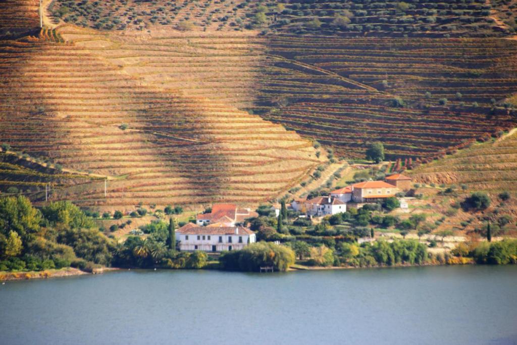 Douro Yacht Charter & Bungalows เซาโจเอา ดา เปชเกรา ภายนอก รูปภาพ