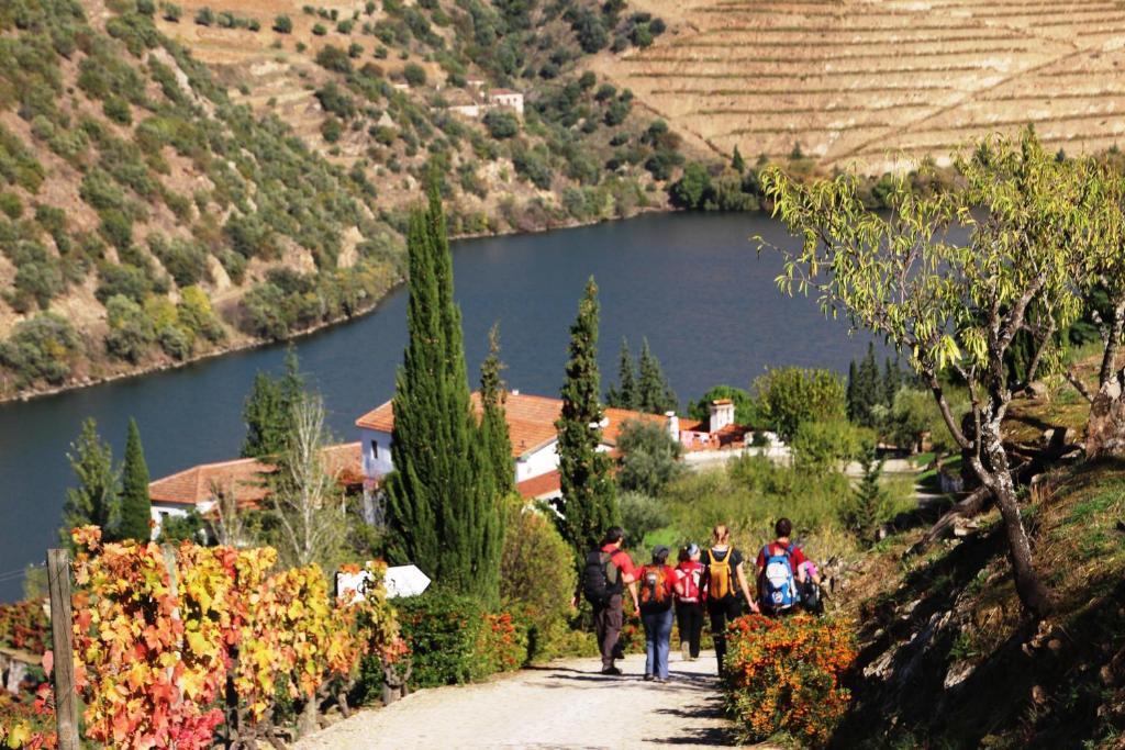 Douro Yacht Charter & Bungalows เซาโจเอา ดา เปชเกรา ภายนอก รูปภาพ